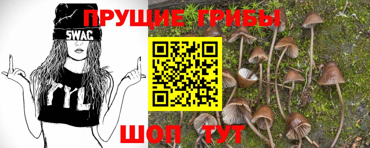 Псилоцибиновые грибы ЛСД Котовск
