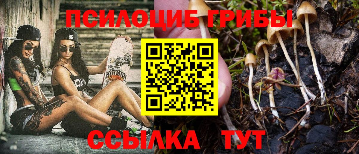 Галлюциногенные грибы Psilocybine cubensis  где можно купить   Галлюциногенные грибы ЛСД  Котовск  Вход с VPN 